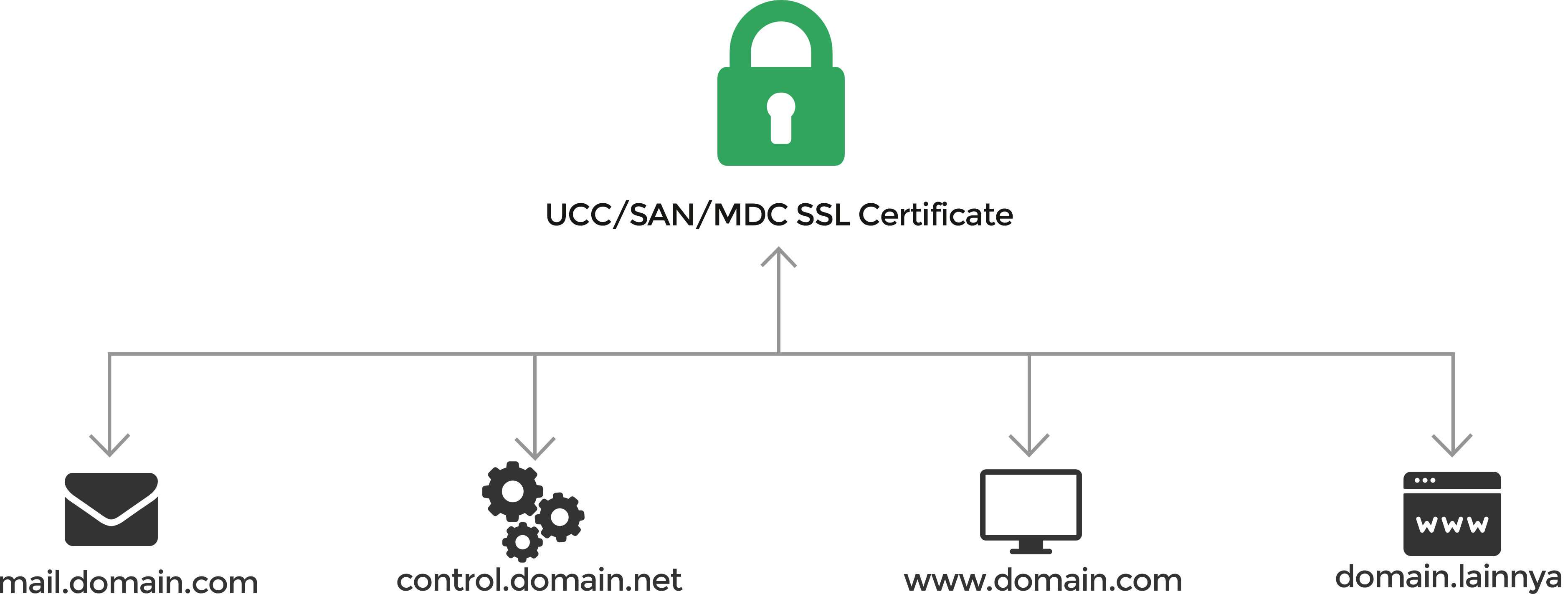 Sertifikat SSL Multi-Domain