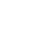 Wildcard SSL Certificate